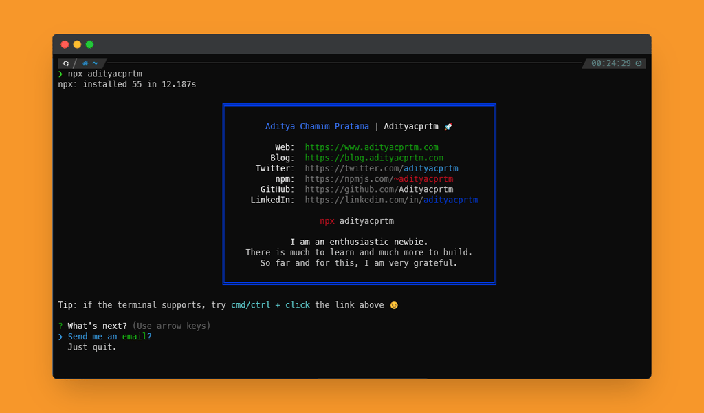 NPM Card (npx adityacprtm)